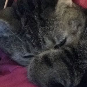 Meet your Posher, Sandra